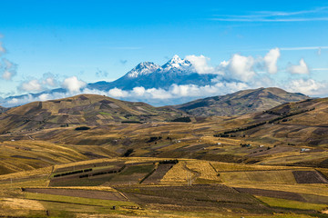 Fields cultivated in summer with Ilinizas volcano