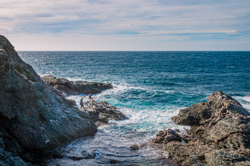 Sur les Iles du Gaou à Six-Fours-les-Plages, le Brusc