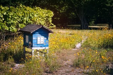 Beehive cottage house in the garden