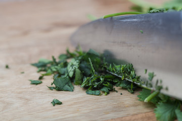 Kitchen knife chopping fresh coriander on wooden board