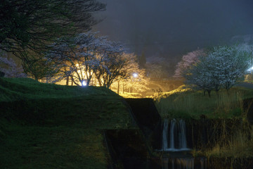 霞間ヶ渓と夜桜
