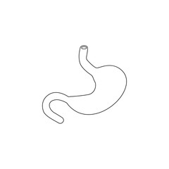 stomach icon. Medecine Element for mobile concept and web apps. Thin line  icon for website design and development, app development. Premium icon