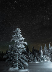 Winter night with stars