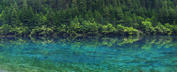 view of colorful lake in jiuzhaigou national park, Sichuan, china