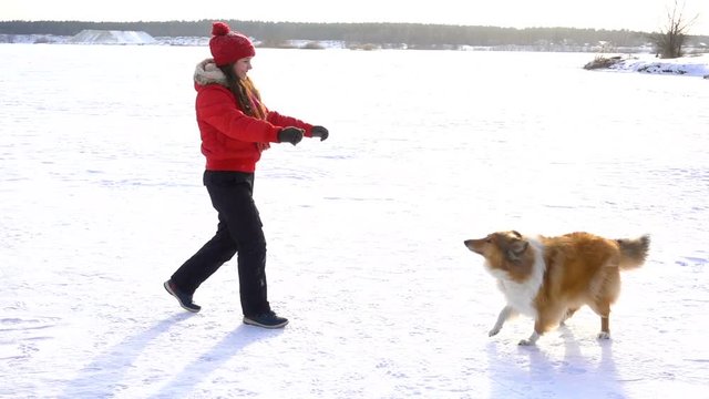 Collie dog playing on snow field with girl