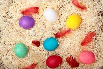 Fototapeta na wymiar Colorful easter eggs.With bordo feather.Colored chicken eggs with white feather.On hay background.Easter background. Top view