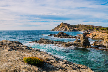 Sur les Iles du Gaou à Six-Fours-les-Plages, le Brusc