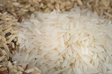 Close-up jasmine rice