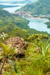 National park serra canastra brazil