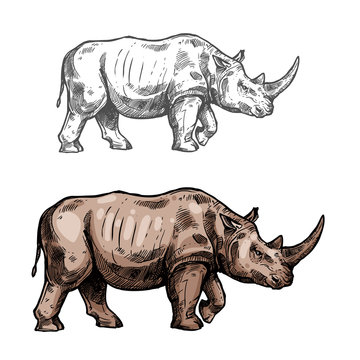 Rhinoceros vector sketch wild animal icon