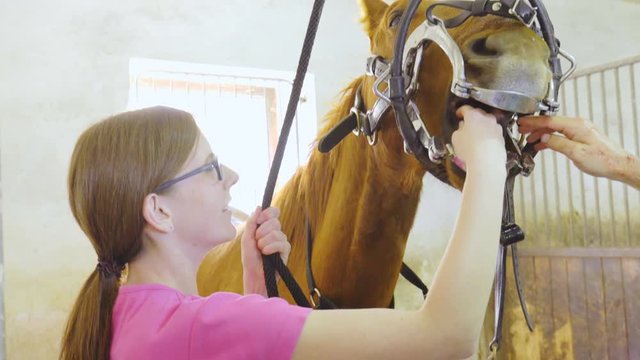 Woman put hand inside horse mouth 4K