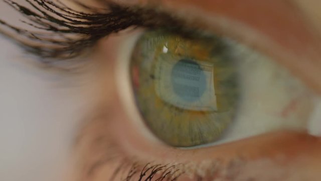 MACRO CLOSE UP: Eye blinking while reading a word text on a computer. Eyeball surface reflecting the image seen on a monitor. Strained eyes after a long day at the office staring at a PC screen.
