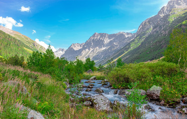 mountain gorge with a meadow in the morning on the green grass and flowers surrounded by mountain peaks in summer with mountain river