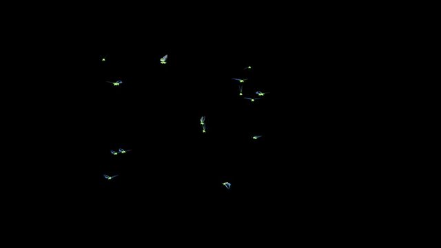 glowing swarm of butterflies fly