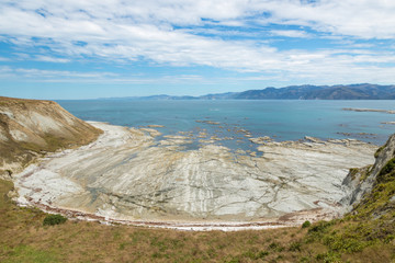aerial view of coastline near Kaikoura, New Zealand, at low tide