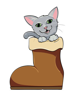 Kitten in a boot, Puss-in-boots