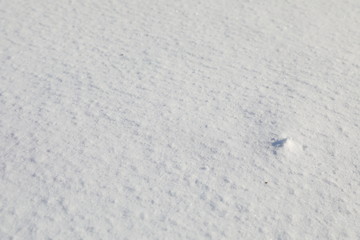Snow texture background