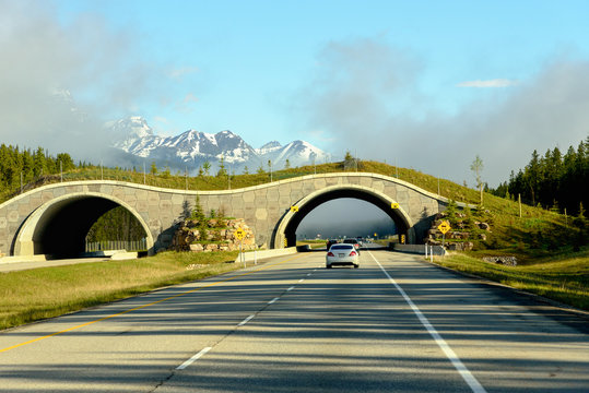 View Of Mountain Ranges During Road Trip To Banff National Park, Alberta, Canada