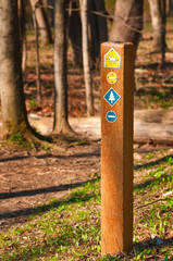 Trail marker in the woods