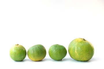 lime slice background