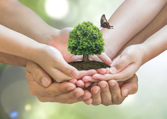 World environment day and sustainable environment concept in father - children's volunteer hands
