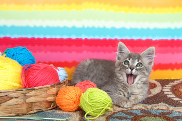 gray long haired tabby kitten laying on colorful carpet floor, looking directly at viewer with mouth wide open. Bright striped background, balls of yarn in a basket.