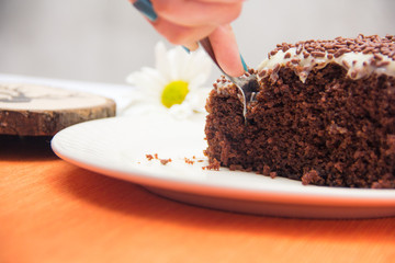 Chocolate cake slice with white chocoalte cream in plate with cup of coffee
