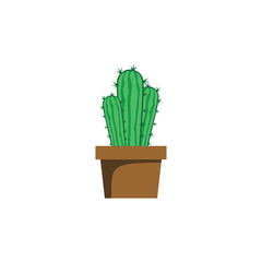 cactus plant illustration