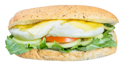 sandwich or hot dog sandwich on the background.
