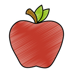 apple fresh fruit icon vector illustration design