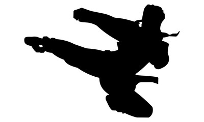 silhouette of female karate