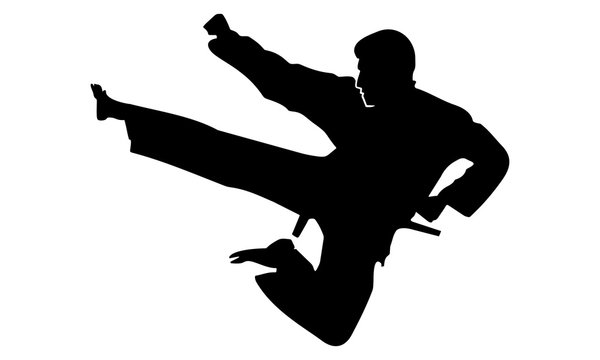silhouette of karate kicking