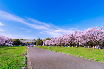 小金井公園のたてもの園前広場