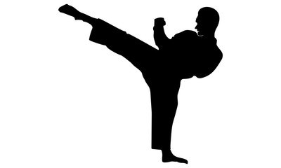 silhouette of the karate martial arts movement © mbarep