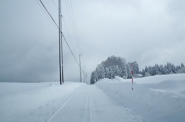 雪で真っ白な道路