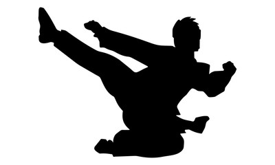 silhouette of karate jump and kick