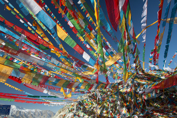 Tibetan flag - obrazy, fototapety, plakaty