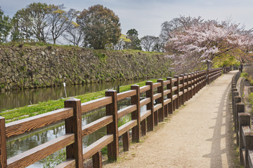 Fototapeta na wymiar Pathway in garden in Japan