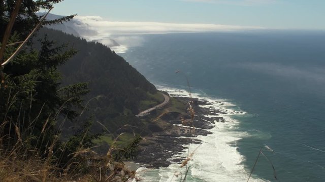 View of the coastline and highway 101 from the top of Cape Perpetua. Trees and grass in the foreground of the frame.
