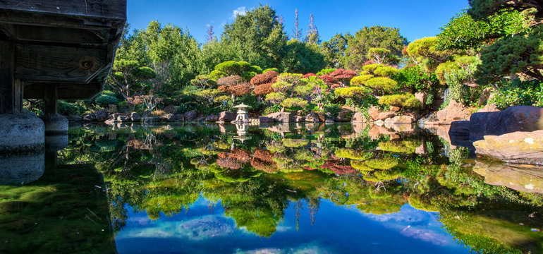 Japanese Garden Hayward