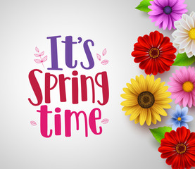 It's spring time text in empty white background vector template with colorful various flowers like daisy, sunflower and elements for spring seasonal greeting design. Vector illustration.
