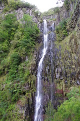 Fototapeta na wymiar A small waterfall in Madeira