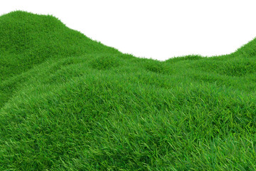Obraz na płótnie Canvas Green grass growing on hills with white background top view. 3d rendering.