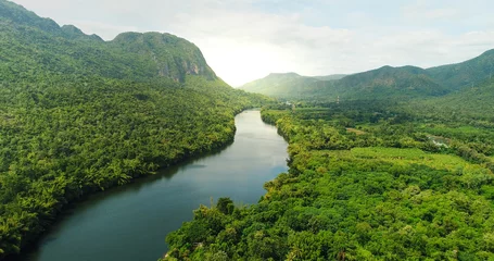 Fototapeten Luftaufnahme des Flusses im tropischen grünen Wald mit Bergen im Hintergrund © Atstock Productions