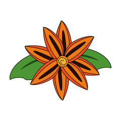 Beautiful flower isolated icon vector illustration graphic design