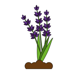 Plant on ground symbol icon vector illustration graphic design