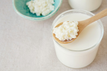 Organic probiotic milk kefir grains, Tibetan mushrooms on wooden spoon and kefir milk in glass containers