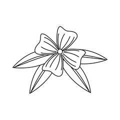 Naklejka premium flower and leafs floral decoration vector illustration design