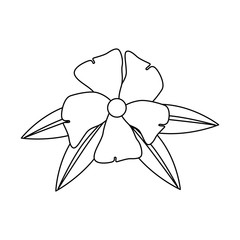 flower and leafs floral decoration vector illustration design