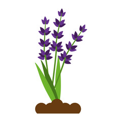 Plant on ground symbol icon vector illustration graphic design